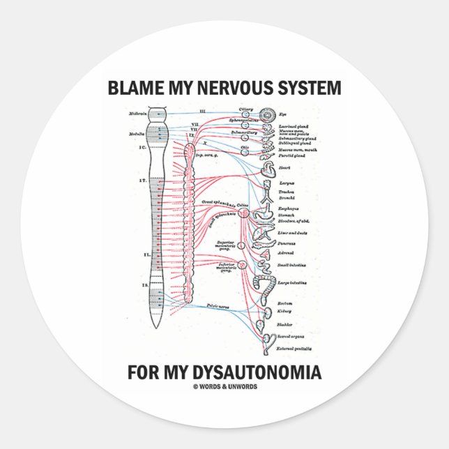 Blame My Nervous System For My Dysautonomia Classic Round Sticker (Front)