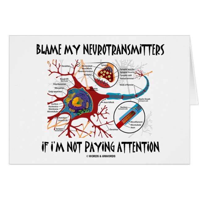 Blame My Neurotransmitters If Not Paying Attention (Front Horizontal)