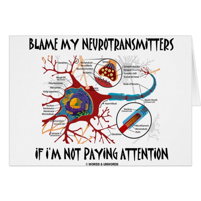 Blame My Neurotransmitters If Not Paying Attention (Front Horizontal)