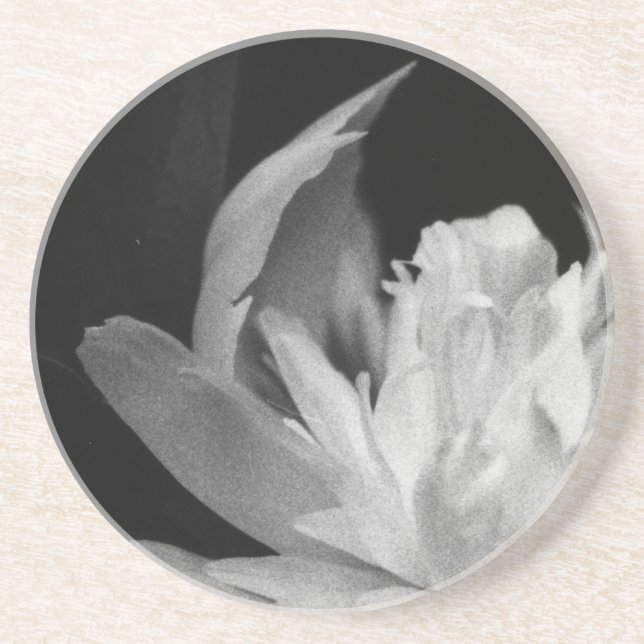 Blanc Coaster (Front)