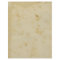 Blank Antique Stained & Distressed Paper