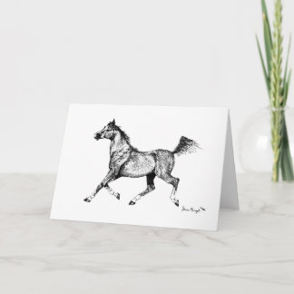 Blank Arabian Horse Greeting Card