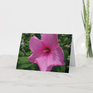 Blank Birthday Card