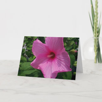 Blank Birthday Card