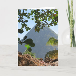 Blank Birthday Card