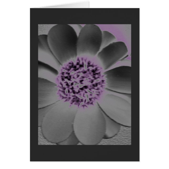 Blank - Blossom in Charcoal & Purple (Front)