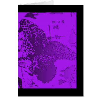Blank - Butterfly in Purple