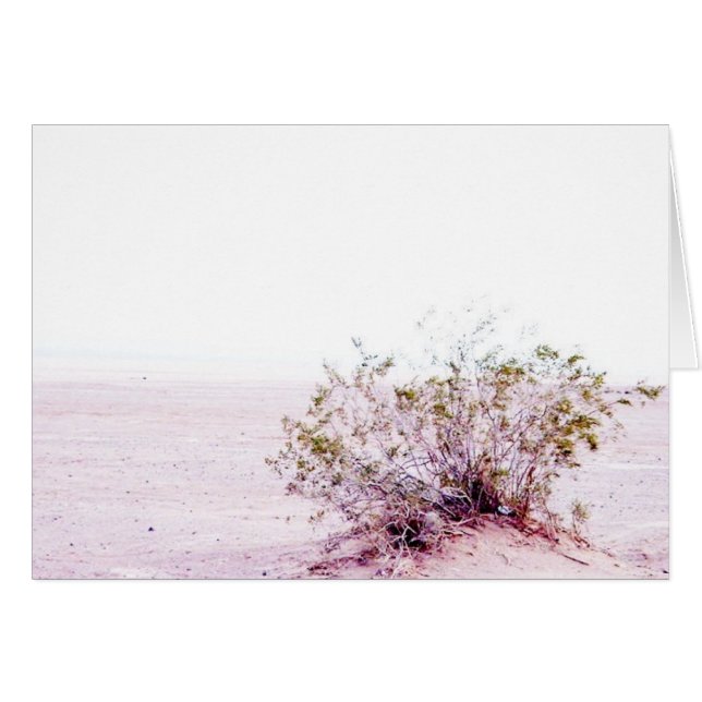 blank card (Front Horizontal)