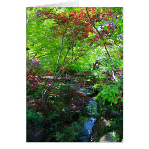 Blank Card, Botanical Garden