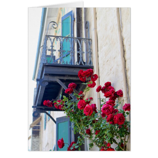 Blank Card, Climbing Red Roses (Front)