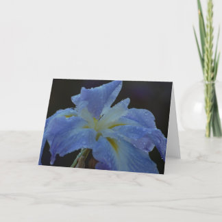 Blank Card - Iris