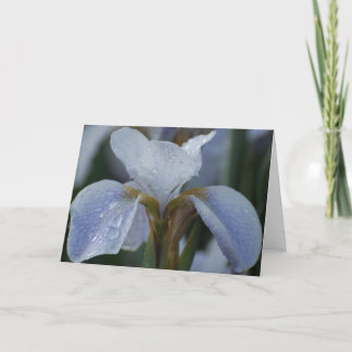 Blank Card - Lily