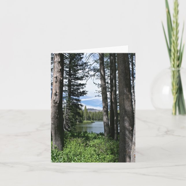 Blank Card, Mountain Lake, Forest Thank You Card (Front)