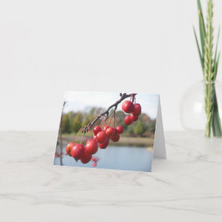 Blank Card - Red Berries
