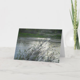 Blank Card: Salinas River in Paso Robles, 2010 Card