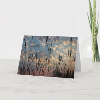 Blank Card - Vancouver Island Sunset