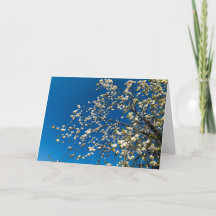 Blank card with blossom tree image