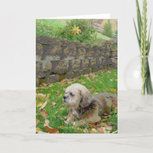 Blank card with Foster