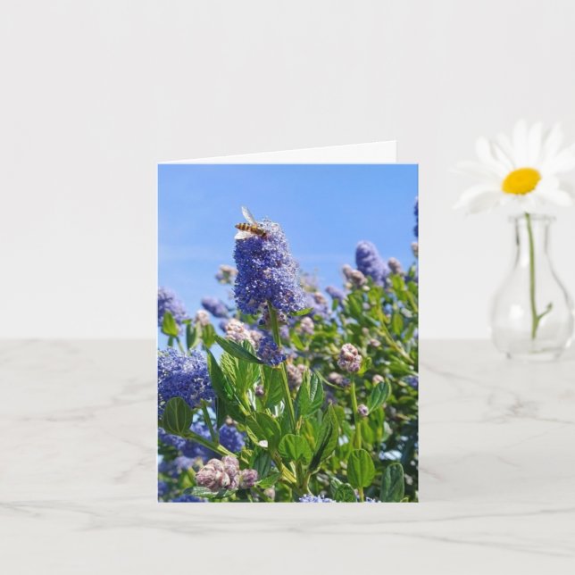 Blank card with lilac flowers (Small Plant)