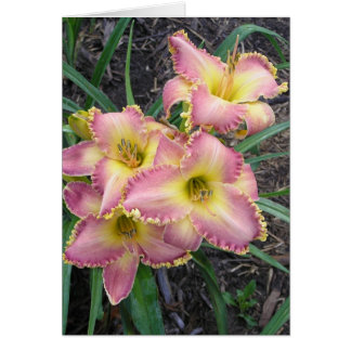 Blank Card with Mojave Morning