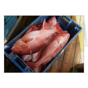 Blank Card with Red Snapper Background