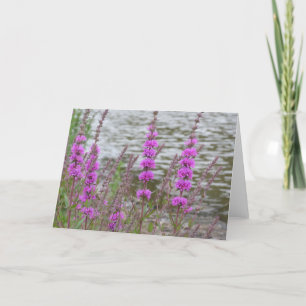 Blank card with tall pink flowers near the river