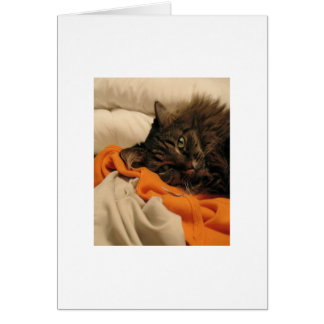 Blank Cat Orange Card