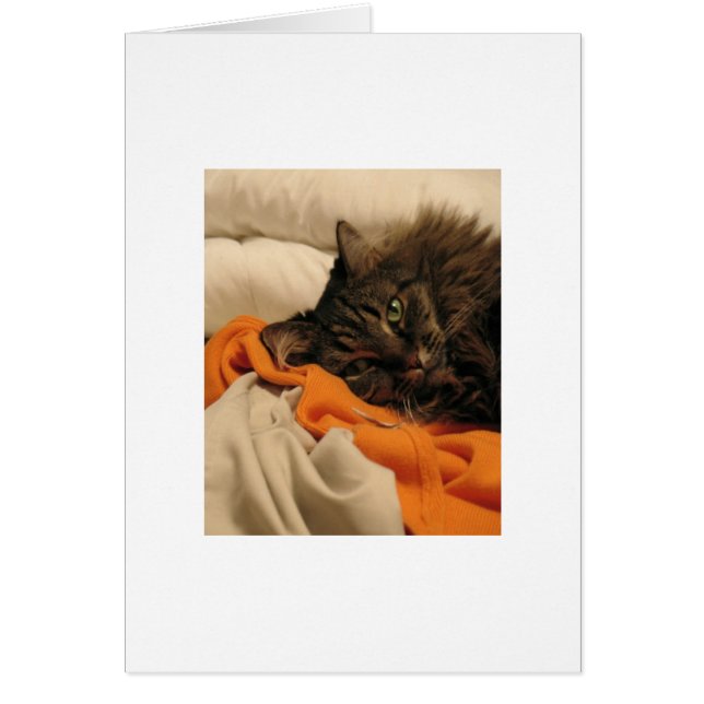 Blank Cat Orange Card (Front)