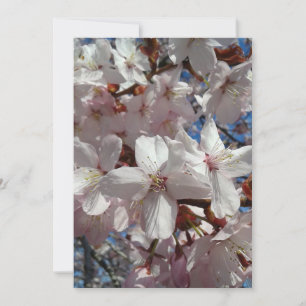 Blank Cherry Blossom Sakura Tree Card