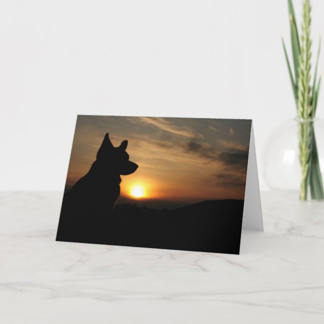 Blank Corgi at Sunset Card (Front)