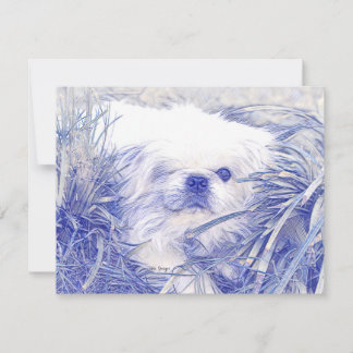 Blank Correspondence Cards feat."Peter Rottentail"
