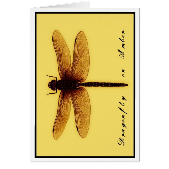 Blank Dragonfly Card (Front)
