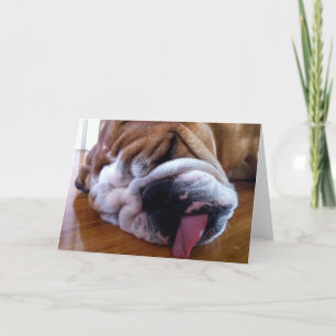 Blank English Bulldog Greeting Card