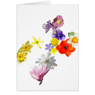 Blank flower card