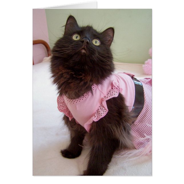 blank for message (Front)