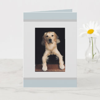 Blank Golden Retriever Greeting Card. Card