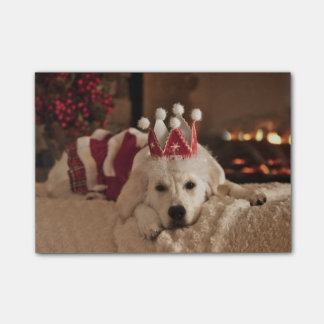 Blank Golden Retriever Photo Post It Notes