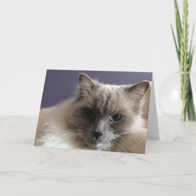 Blank Greeting Card (Front)