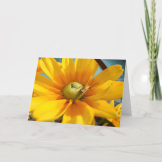 Blank Greeting Card