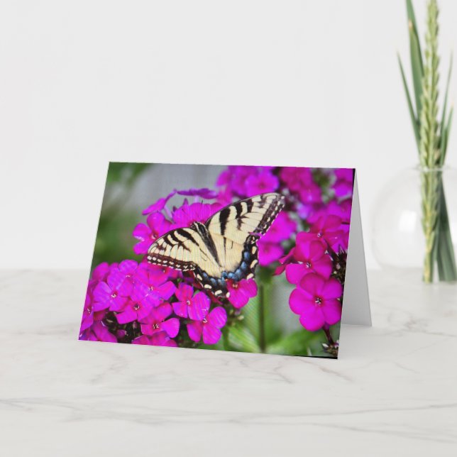Blank Greeting Card (Front)
