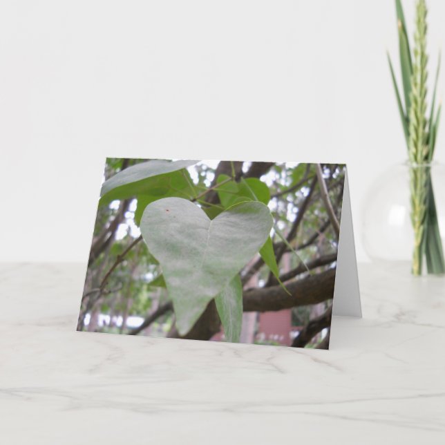 Blank Greeting Card (Front)