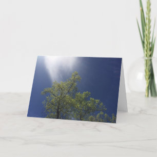 Blank Greeting Card