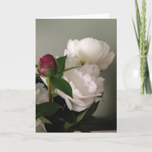 Blank Greeting Card