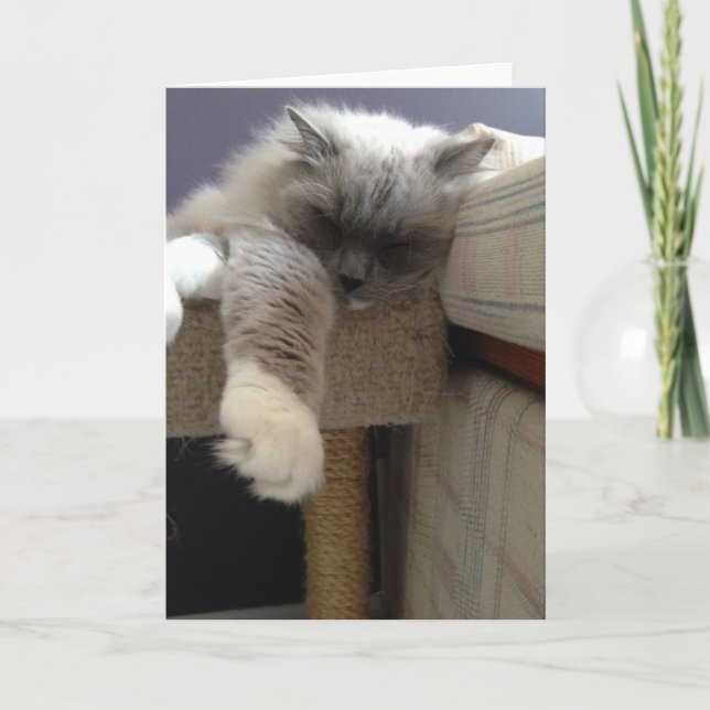 Blank Greeting Card (Front)