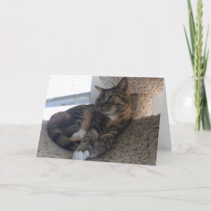 Blank Greeting Card