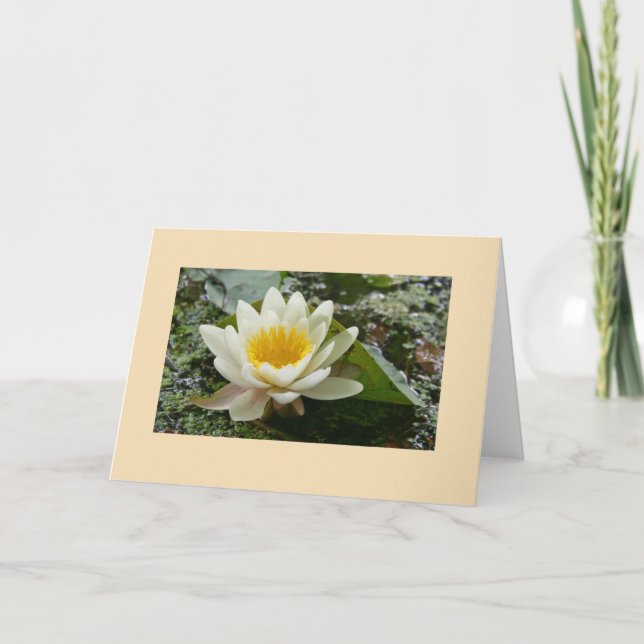 Blank Greeting Card (Front)