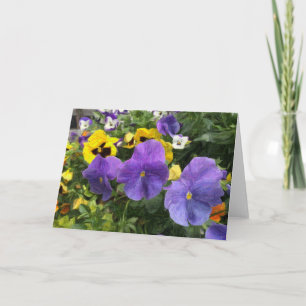 Blank Greeting Card