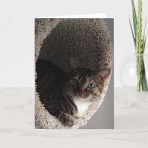 Blank Greeting Card