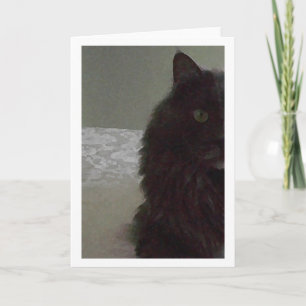 Blank Greeting Card