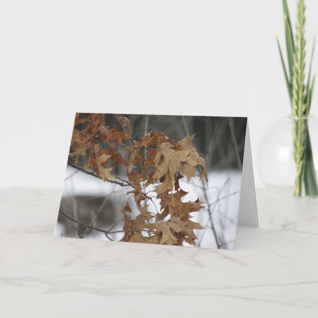 Blank Greeting Card (Front)